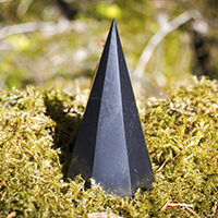 пирам восьмигр