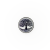 plastina_kruglaya_drevo ghizni_1 plastina_kruglaya_drevo ghizni_1