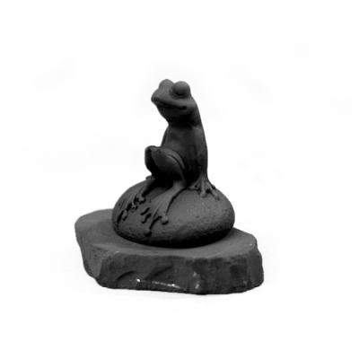 lyagushka_na_kamne_1