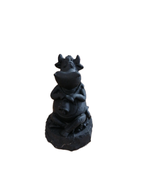 IMG_2024_04_05_14_48_47_9895493120867743473437-fotor-bg-remover-20240405144912