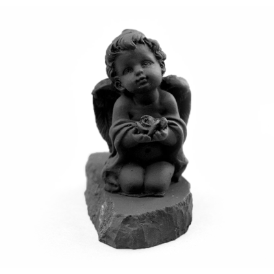 angelochek_s_rozoi__1