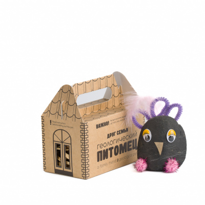 Центр шунгита-681-редакт