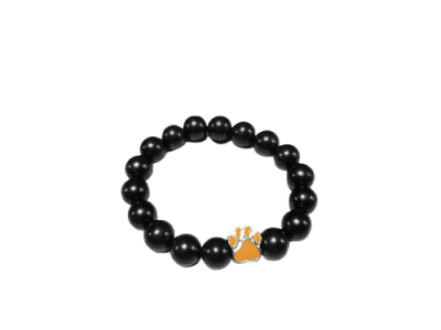 IMG_2024_01_23_16_27_25_6174499431942140689662-fotor-bg-remover-20240123162749