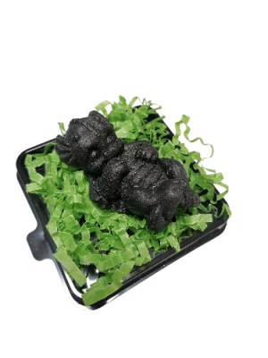 IMG_2024_01_24_09_19_59_1994987995484280488022-fotor-bg-remover-20240125125538