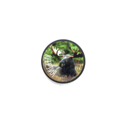 magnit_givotnie_4